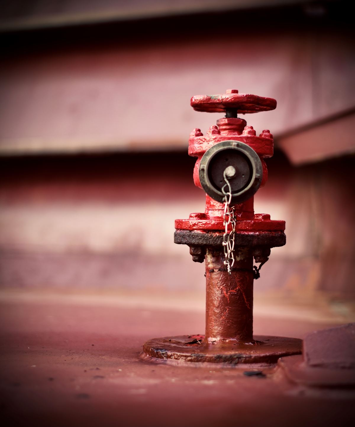 Fire Hydrant.jpg